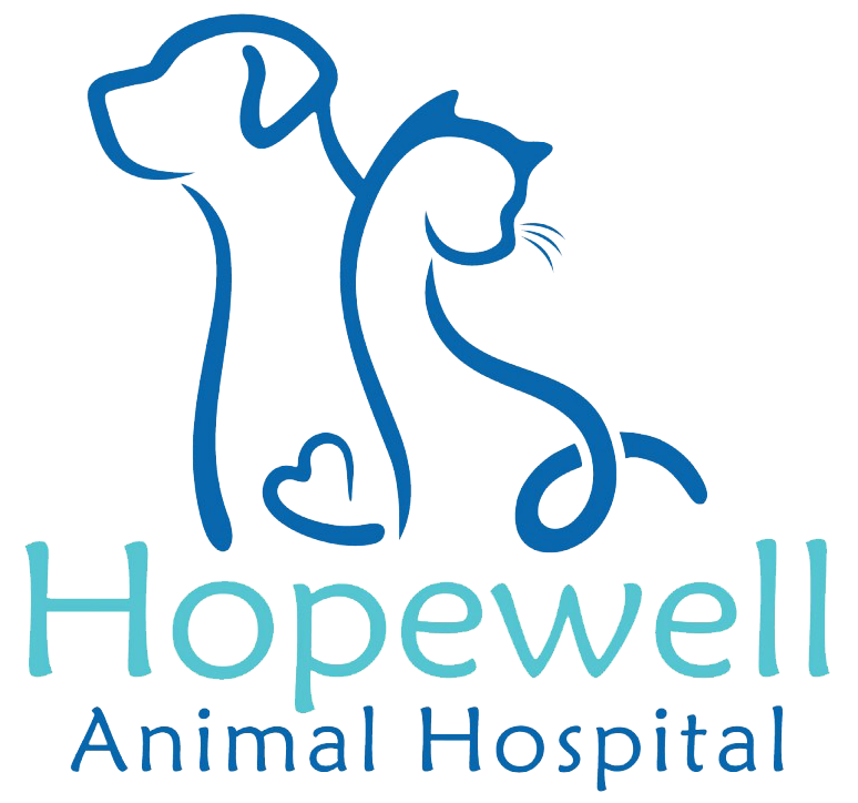 Dog Veterinarian  Louisville Dog Hospital